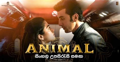 animal english subtitle|animal 2023 sinhala sub.